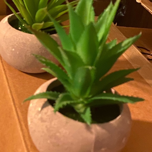 Faux plants Aloe Vera x 2 - Picture 2 of 4